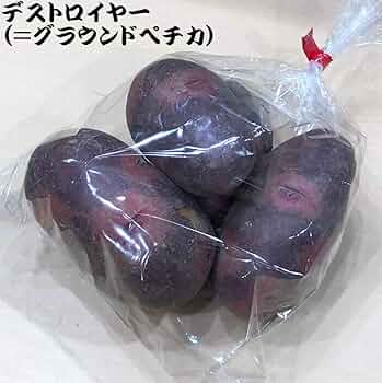 ちかっぺ グラウンドペチカ 20キロ ちかっぺ グラウンドペチカ 20キロ グラウンドぺチカ 20キロ
